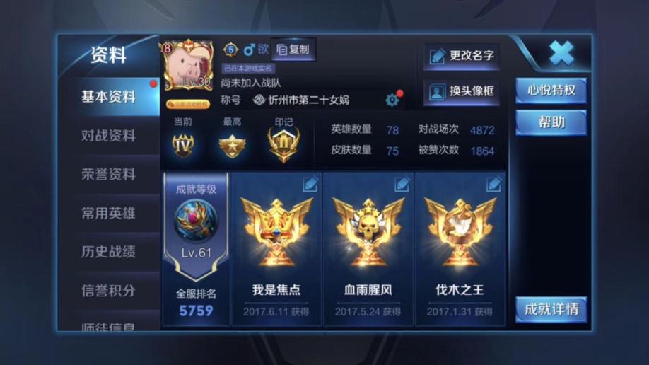 【30级】王者荣耀vip8武则天