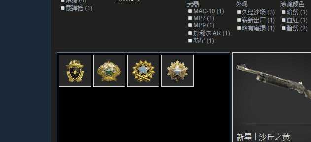 csgo三服役勋章双ak